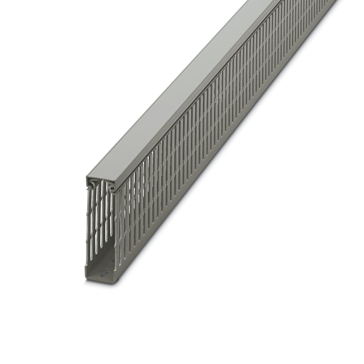 TWDN 25x100 LG2, Кабельный канал